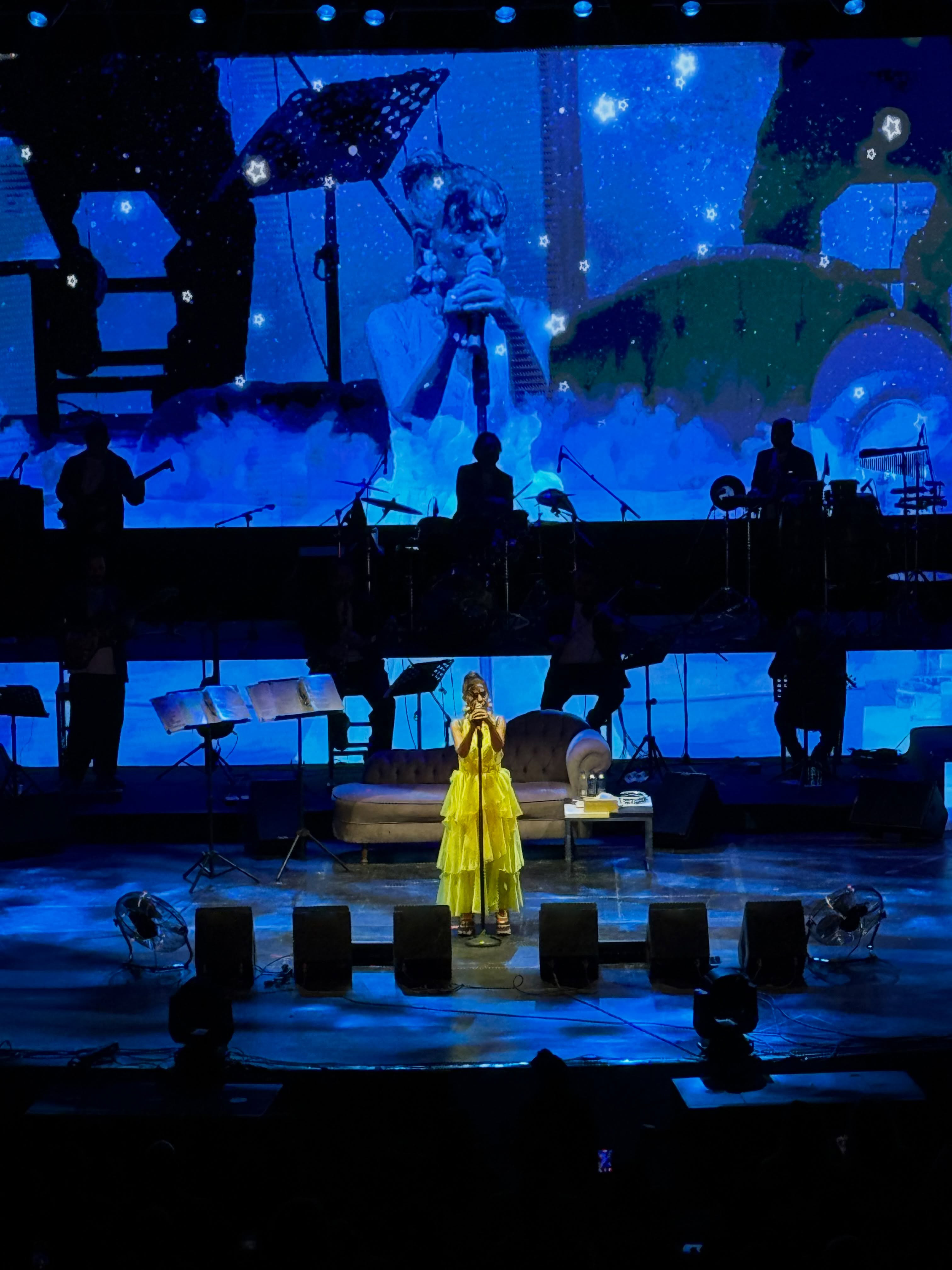 VKN VP1200IP at an Outdoor Concert in Türkiye 